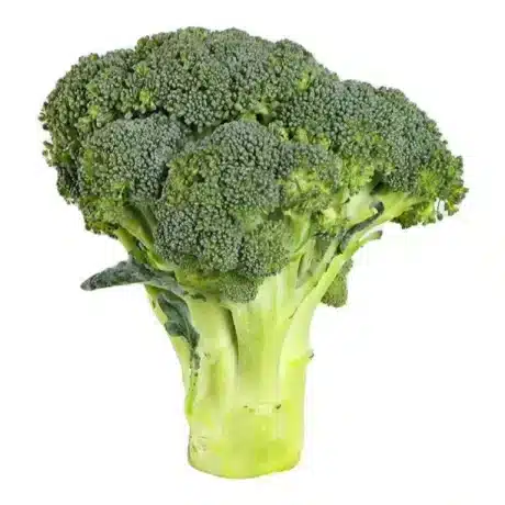 Broccoli