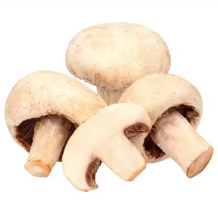 Mushrooms dozen