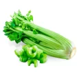 Celery Bunch