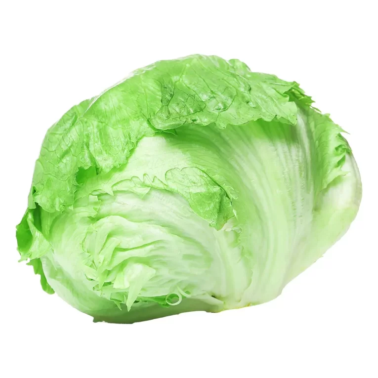 lechuga