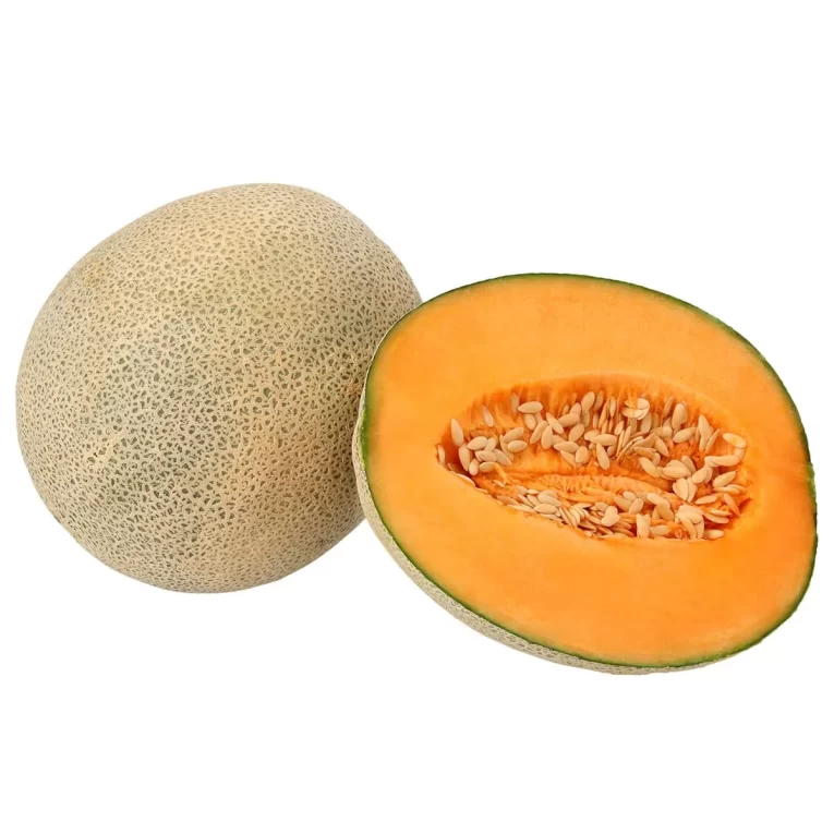 melon