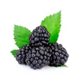 Blackberries